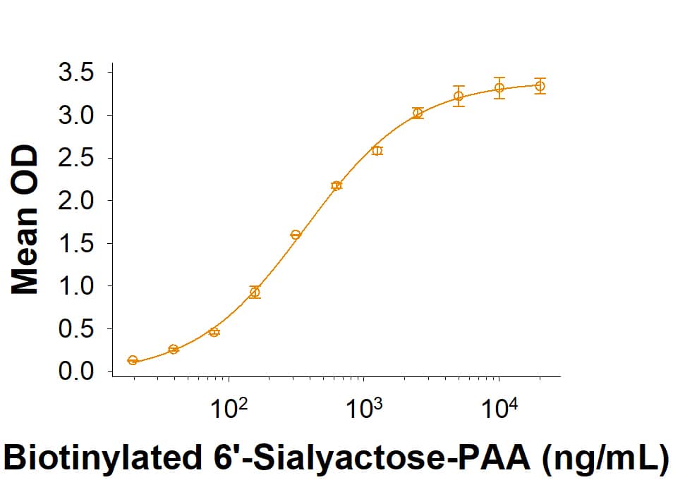 Recombinant Mouse Siglec-G Fc Chimera Protein Binding Activity