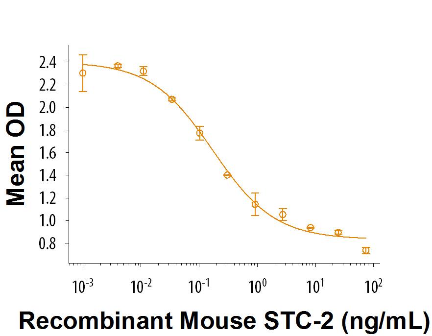 Recombinant Mouse Stanniocalcin 2/STC-2 Protein Bioactivity