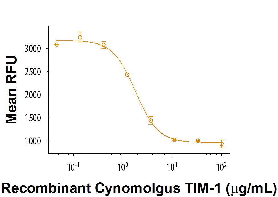 Recombinant Cynomolgus TIM-1/KIM-1/HAVCR Fc Chimera Bioactivity