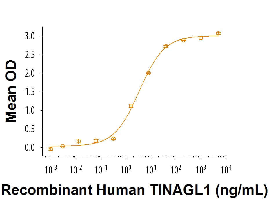 Recombinant Human TINAGL1 Protein Bioactivity