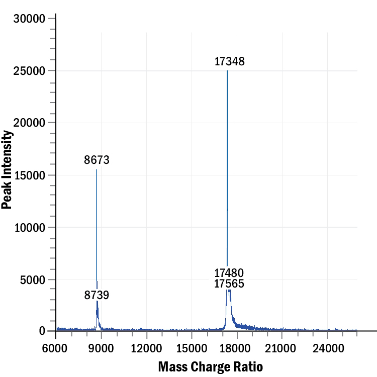Recombinant Human TNF-alpha GMP Protein Mass Spectrometry