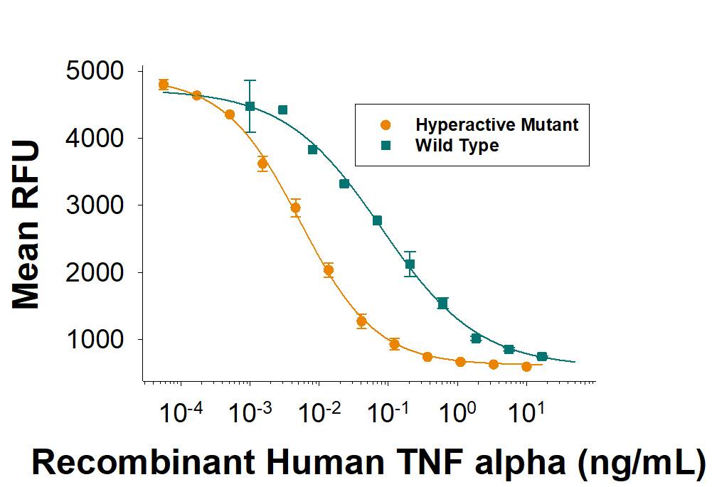 Recombinant Human TNF-alpha Hyperactive Mutant Protein Bioactivity