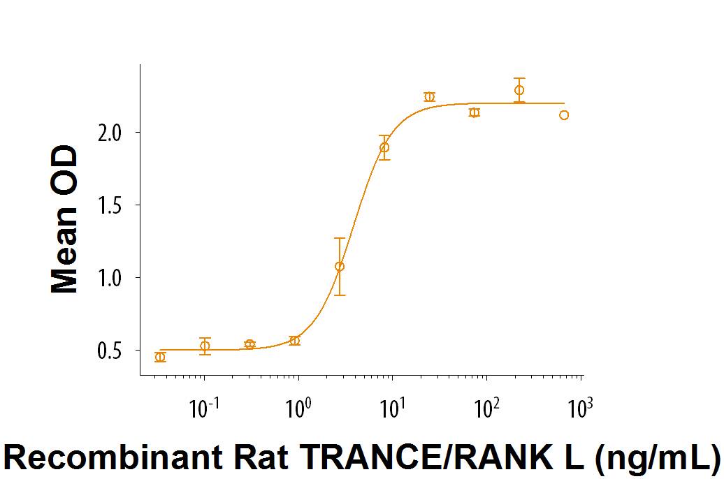 Recombinant Rat TRANCE/RANK L/TNFSF11 Protein Bioactivity