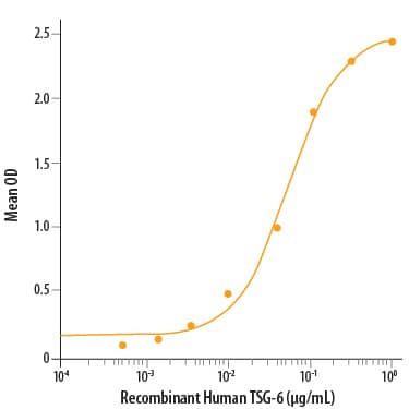 Recombinant Human TSG-6 Protein Binding Activity