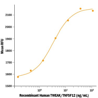 Recombinant Human TWEAK/TNFSF12 Protein Bioactivity