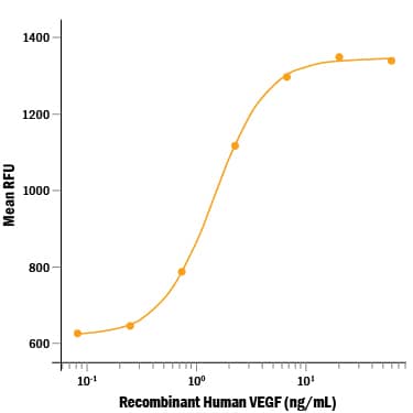 Recombinant Human VEGF (aa 207-318) Protein Bioactivity