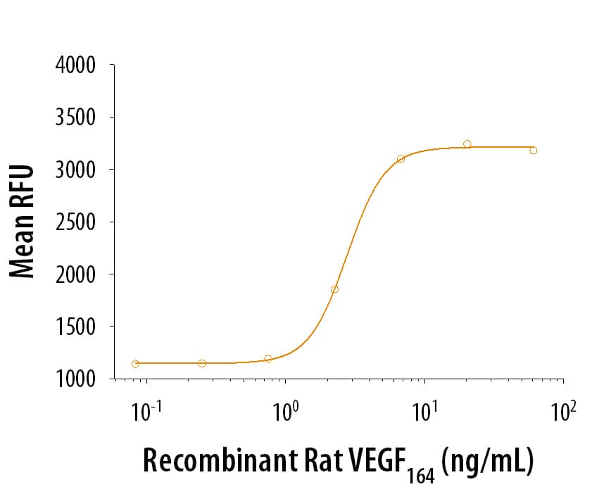 Recombinant Rat VEGF 164 Protein Bioactivity