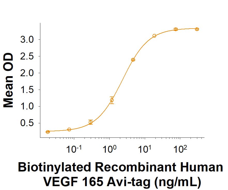 Recombinant Human VEGF 165 Avi-tag Biotinylated Protein Binding Activity