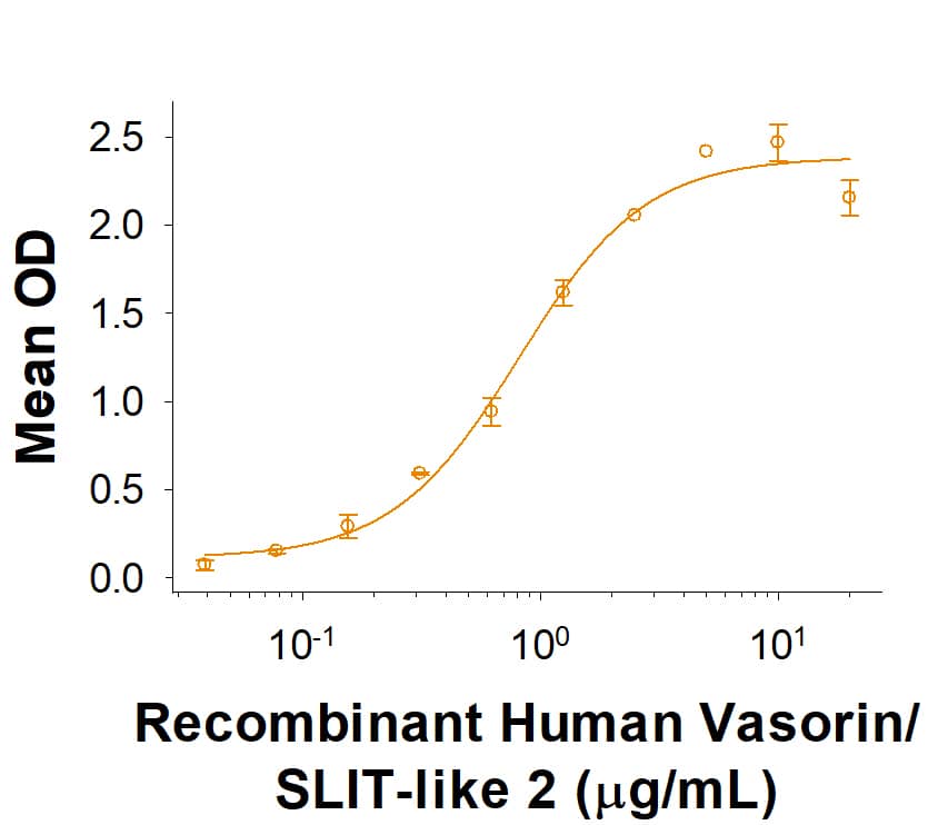 Recombinant Human Vasorin/SLIT-like 2 Fc Chimera Protein Binding Activity