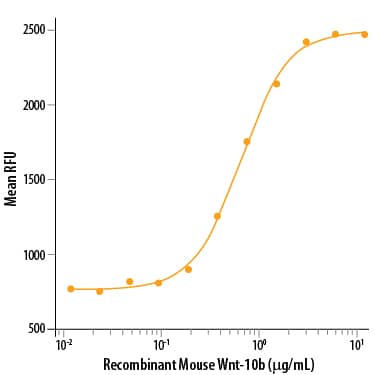 Recombinant Mouse Wnt-10b Protein Bioactivity