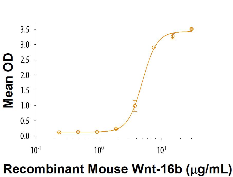 Recombinant Mouse Wnt-16b Protein Bioactivity