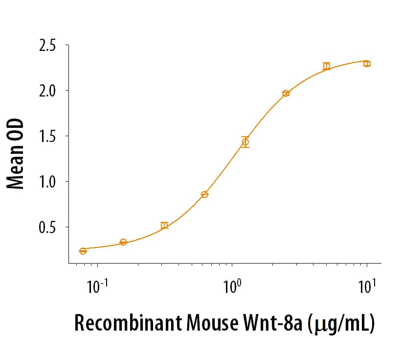 Wnt-8a Induces the Production of Alkaline Phosphatase.