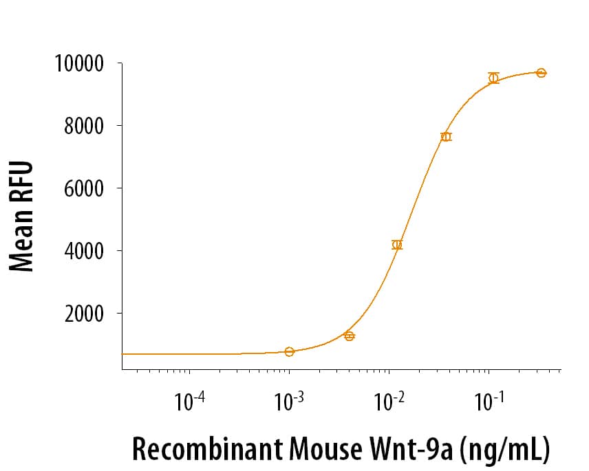 Wnt-9a Activates Wnt Signaling in HEK293 Cells.