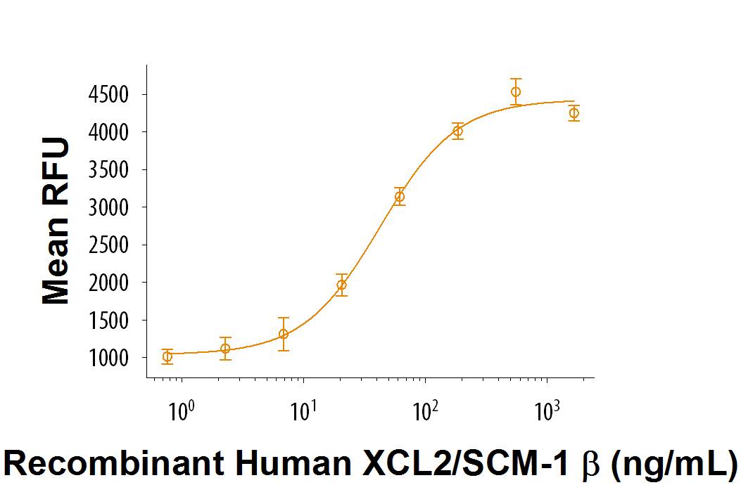 Recombinant Human XCL2/SCM-1 beta Protein Bioactivity