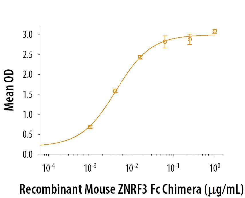 ZNRF3 Binds R-Spondin 3.