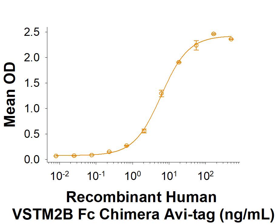 Recombinant Human VSTM2B Fc Chimera Avi-tag Protein Binding Activity