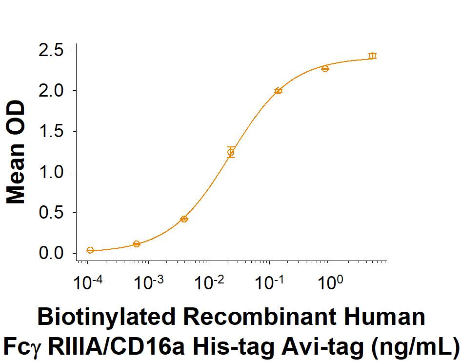 Recombinant Human Fc gamma RIIIA/CD16a His Avi Protein Binding Activity