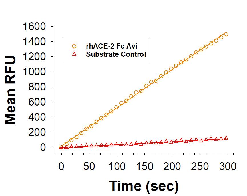 Recombinant Human ACE-2 Fc Chimera Avi-tag Protein (CHO) Enzyme Activity