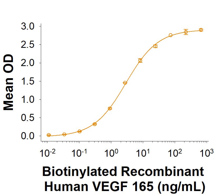 Biotinylated Recombinant Human VEGF 165 Protein Binding Activity