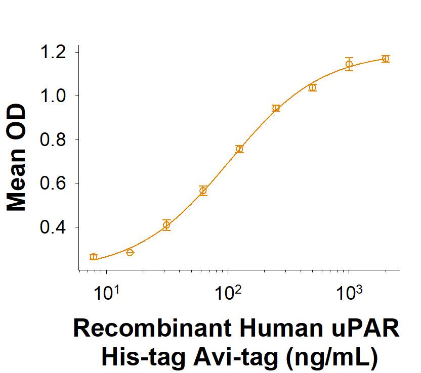 Recombinant Human uPAR His-tag Avi-tag Protein Binding Activity