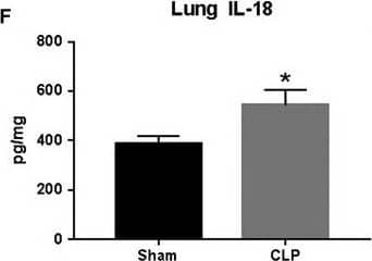 Detection of Rat IL-1 beta/IL-1F2