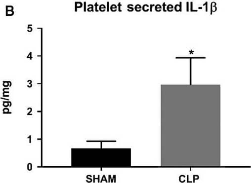 Rat IL-1 beta/IL-1F2 Quantikine ELISA Kit