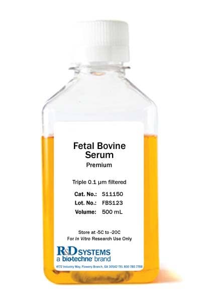 Fetal Bovine Serum - Premium