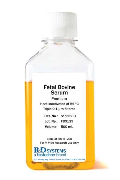 Fetal Bovine Serum - Premium, Heat Inactivated