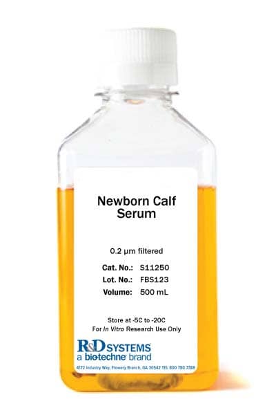 Newborn Calf Serum