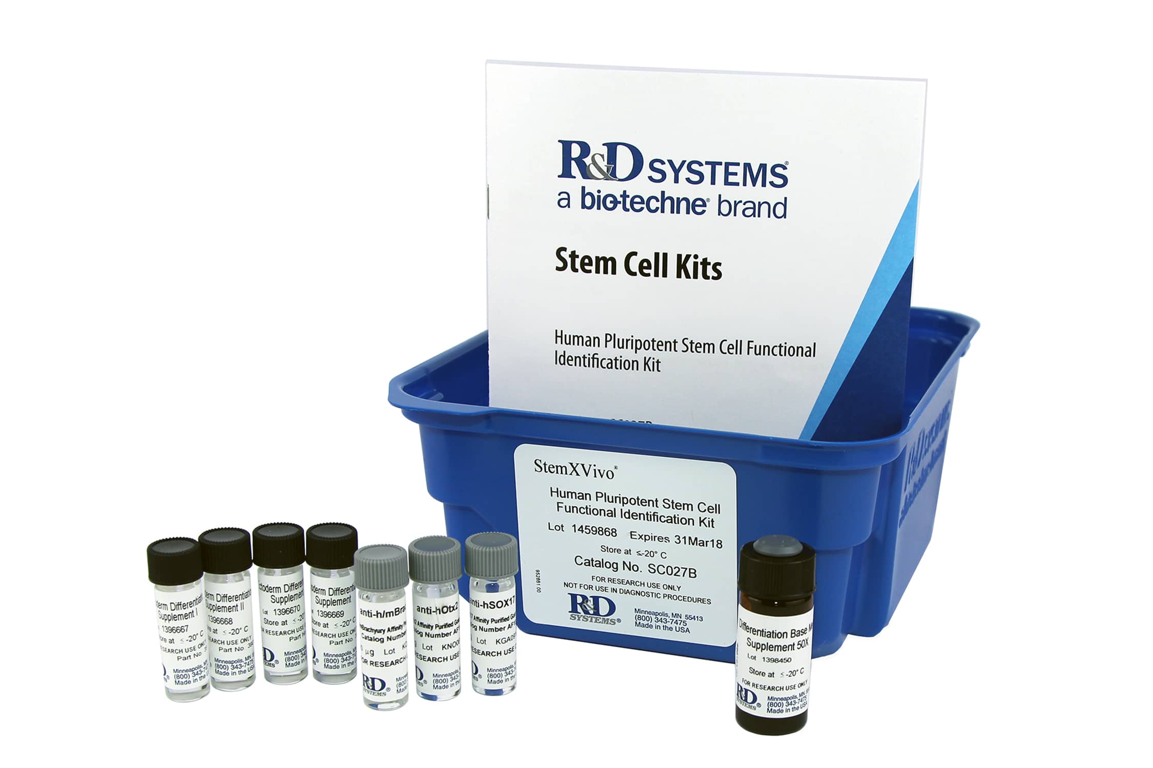 StemXVivo Ectoderm Kit