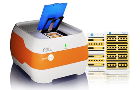 Mouse CCL3/MIP-1 alpha  Ella Assay