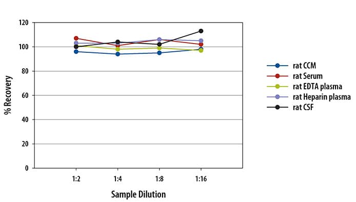 Rat beta-Synuclein Ella Assay Linearity