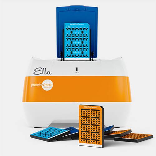 Ella Automated ELISA Platform and Simple Plex Non-human Primate IL-18 Assay