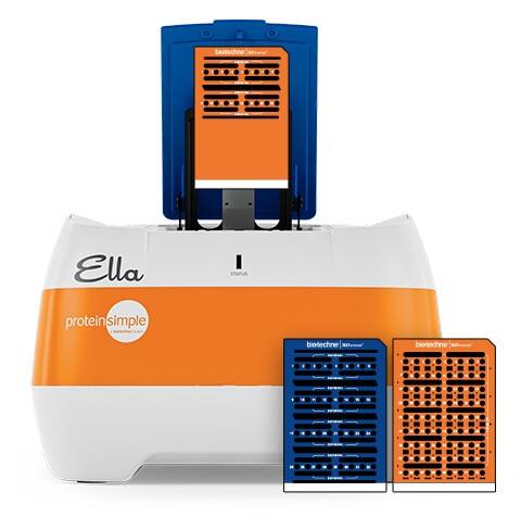 Ella Automated ELISA Platform and Simple Plex Non-Human Primate IL-10 Assay