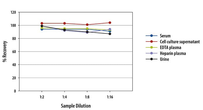 Human Vitamin D BP Ella Assay Linearity