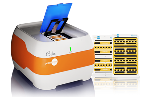 Simple Plex Cartridge Kit for 72 samples, containing ANG-1 2nd gen