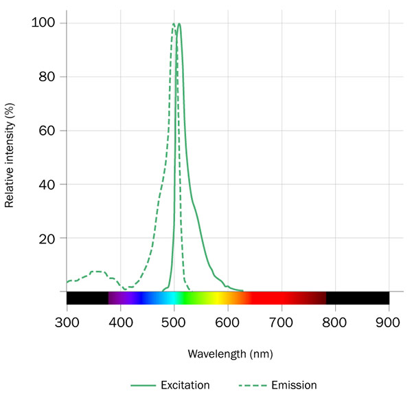 BDY FL-X, SE Dye Spectra