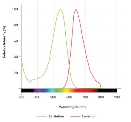 7-Aminoactinomycin D Dye Spectra