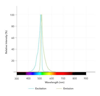 BDY FL Staurosporine Dye Spectra