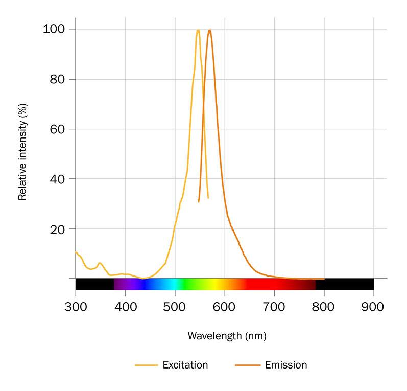 BOP-JF549 Dye Spectra