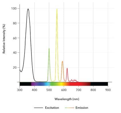 CoraFluor™ 1, amine reactive Dye Spectra