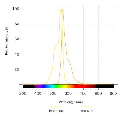 Cyanine 3 Tyramide Dye Spectra