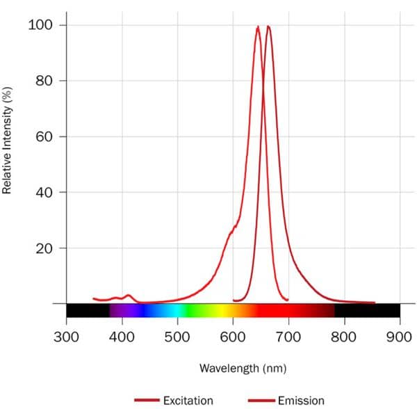 Janelia Fluor® 646, NHS ester Dye Spectra