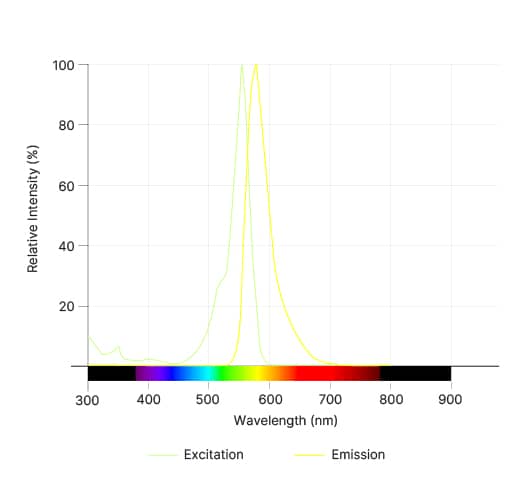 Janelia Fluor® 549, Haloalkane Dye Spectra