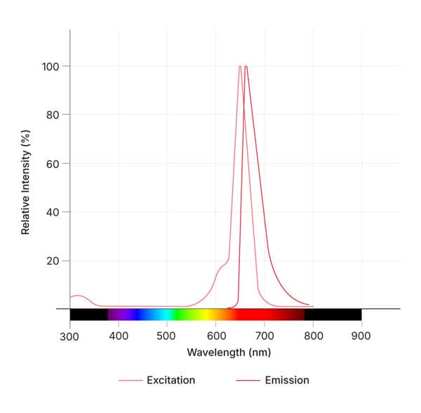 Janelia Fluor® 630b, Maleimide Dye Spectra