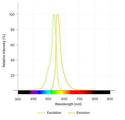 Janelia Fluor® 525, BromoCatch™ Ligand Dye Spectra