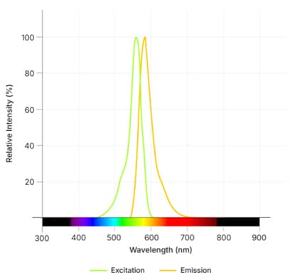 Janelia Fluor® 552, Haloalkane Dye Spectra