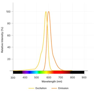 Janelia Fluor&reg; 570, NHS ester Dye Spectra