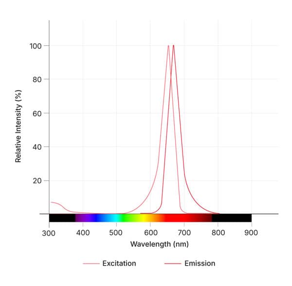 Janelia Fluor® 630b, NHS ester Dye Spectra