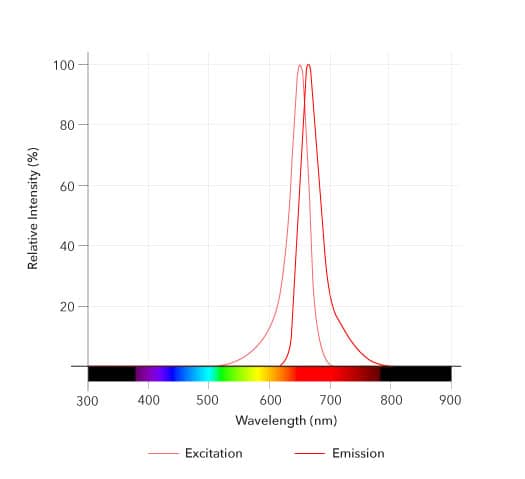 Janelia Fluor® 635, Maleimide Dye Spectra